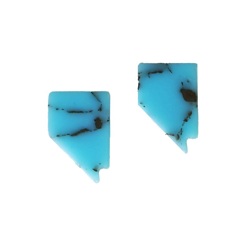 Nevada Turquoise Stud Earrings