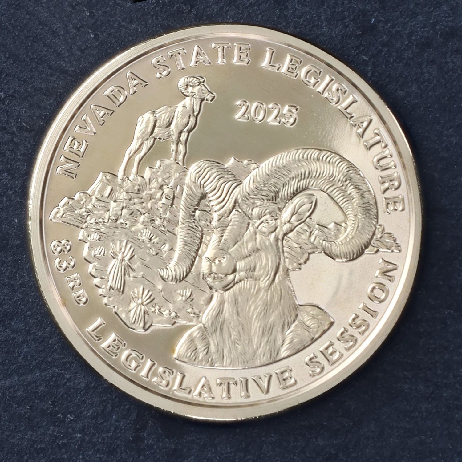 2025 Session Medallion - Bronze