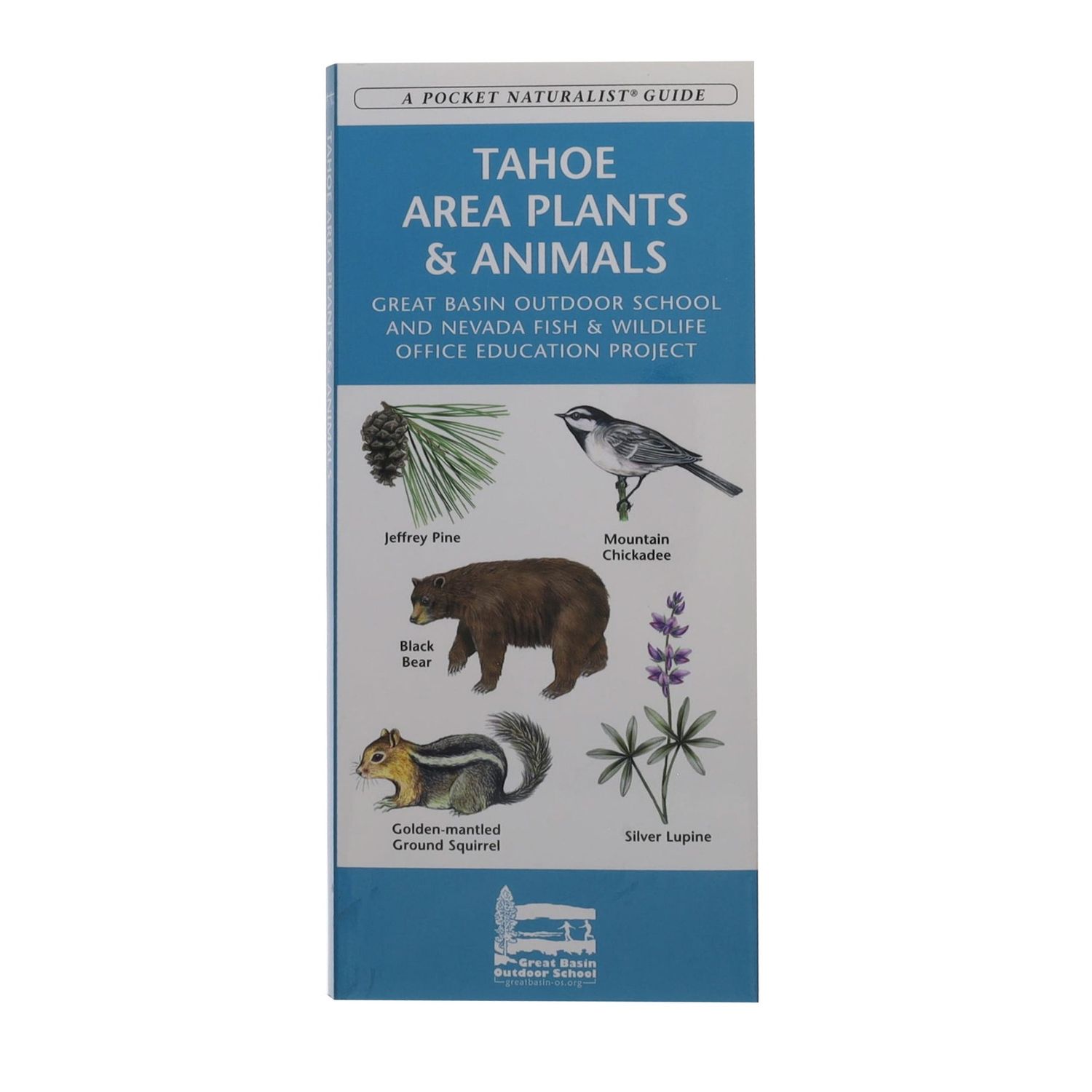 Tahoe Area Plants and Animals