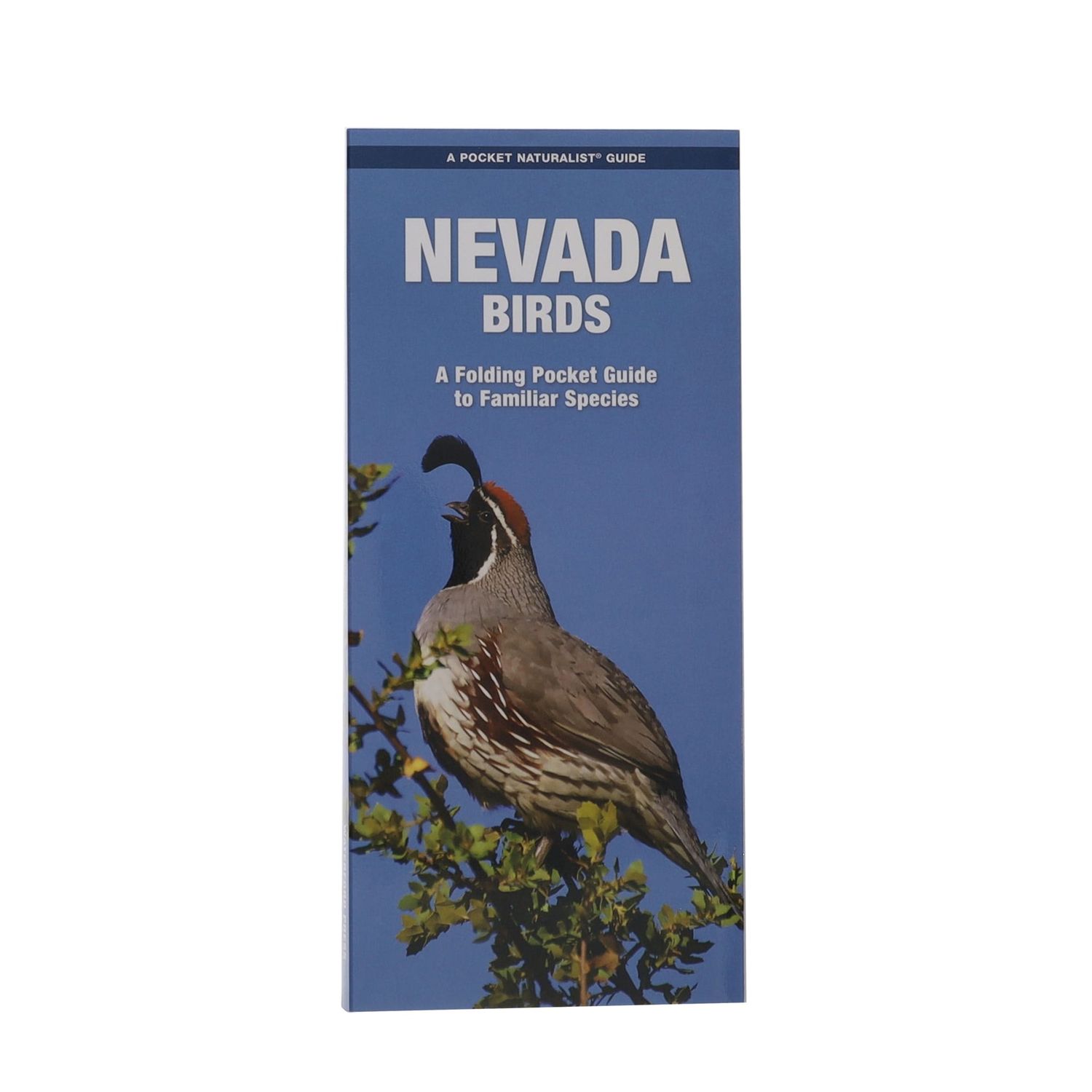Nevada Birds Pocket Guide