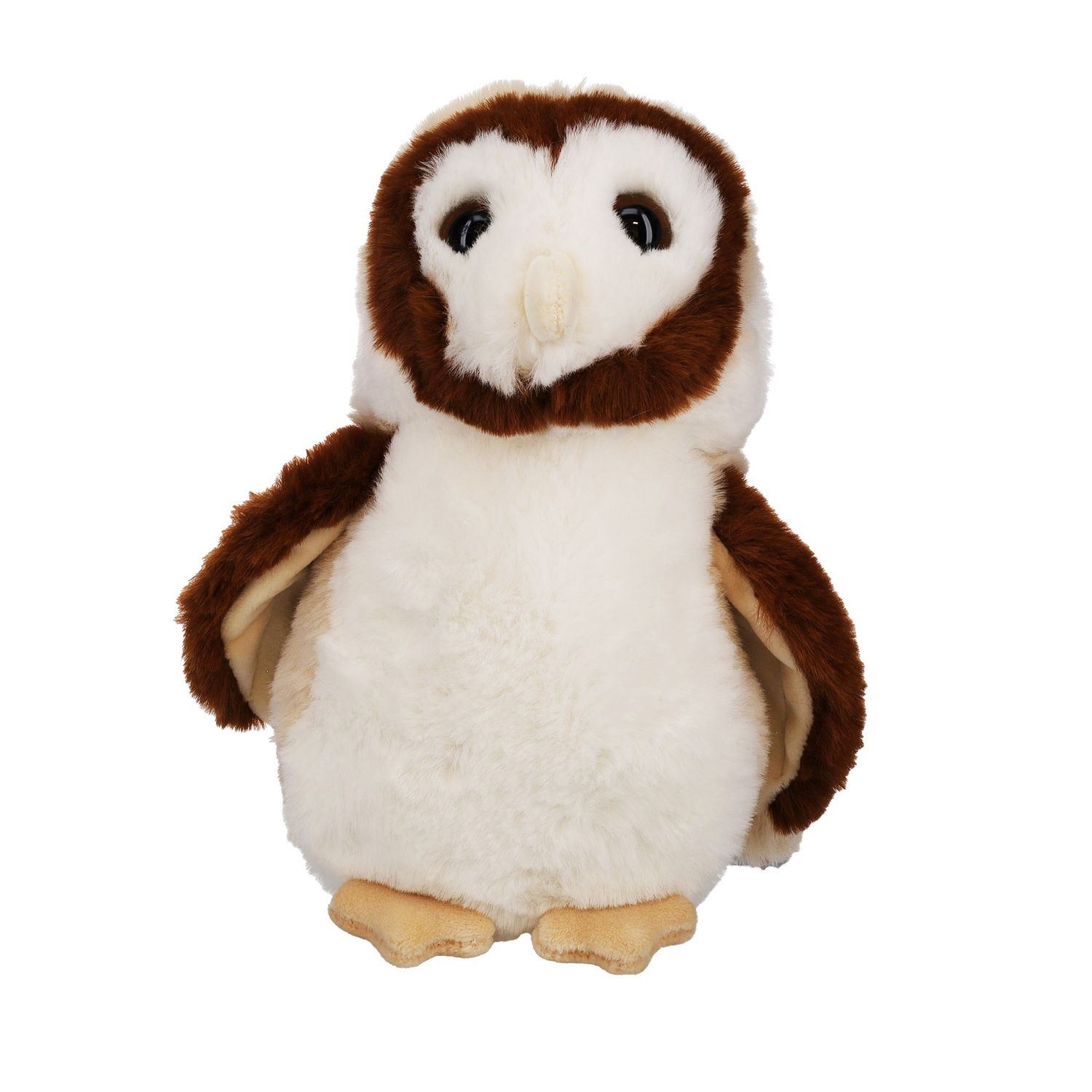 Rafter Barn Owl