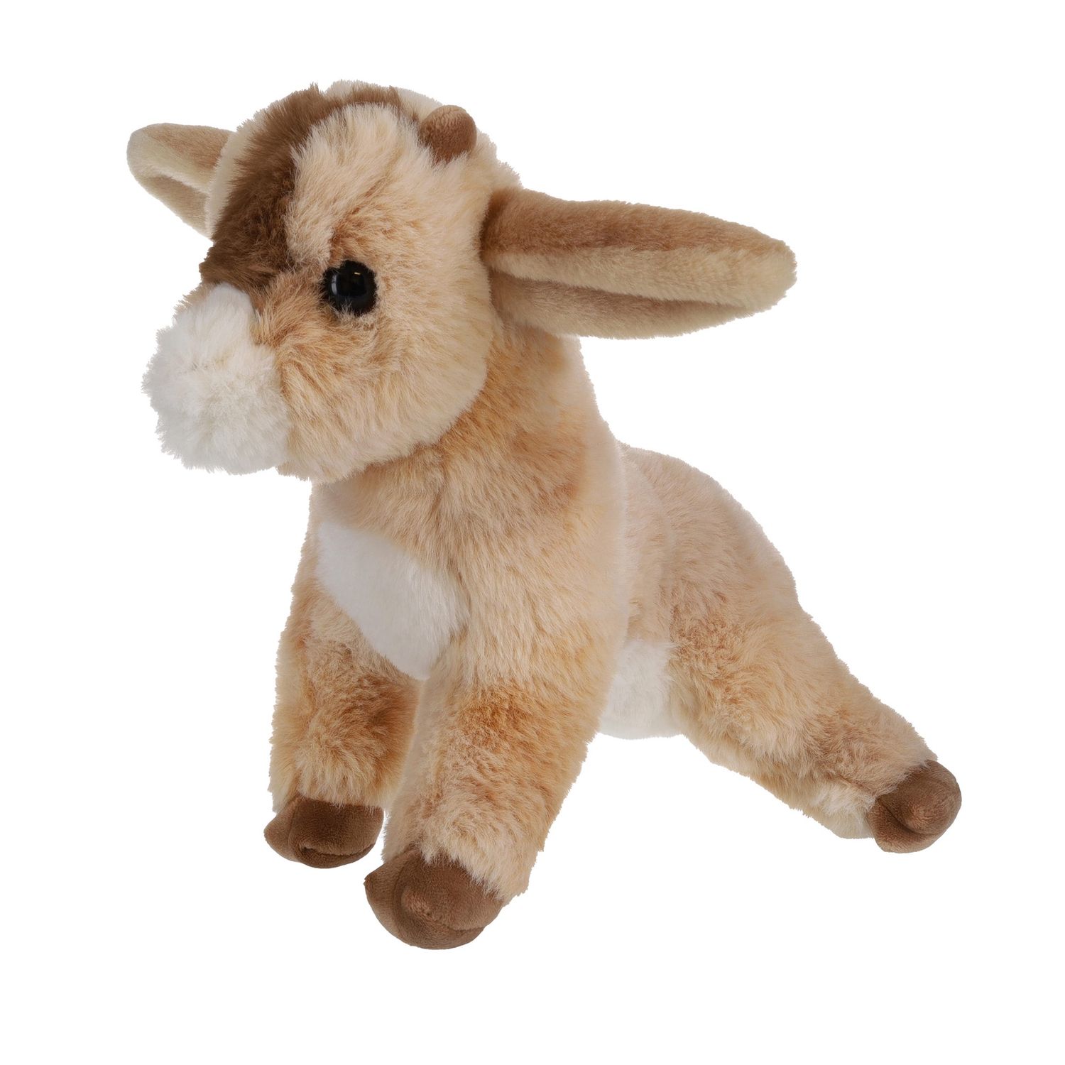 Dandie Goat Soft