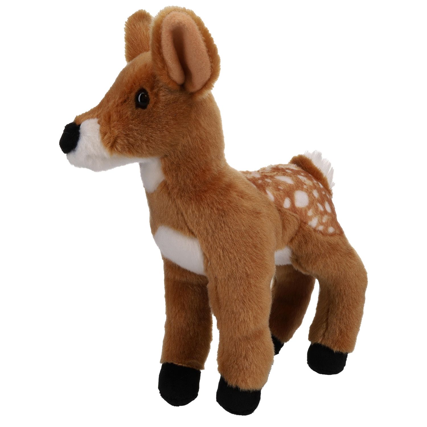 Glory Fawn