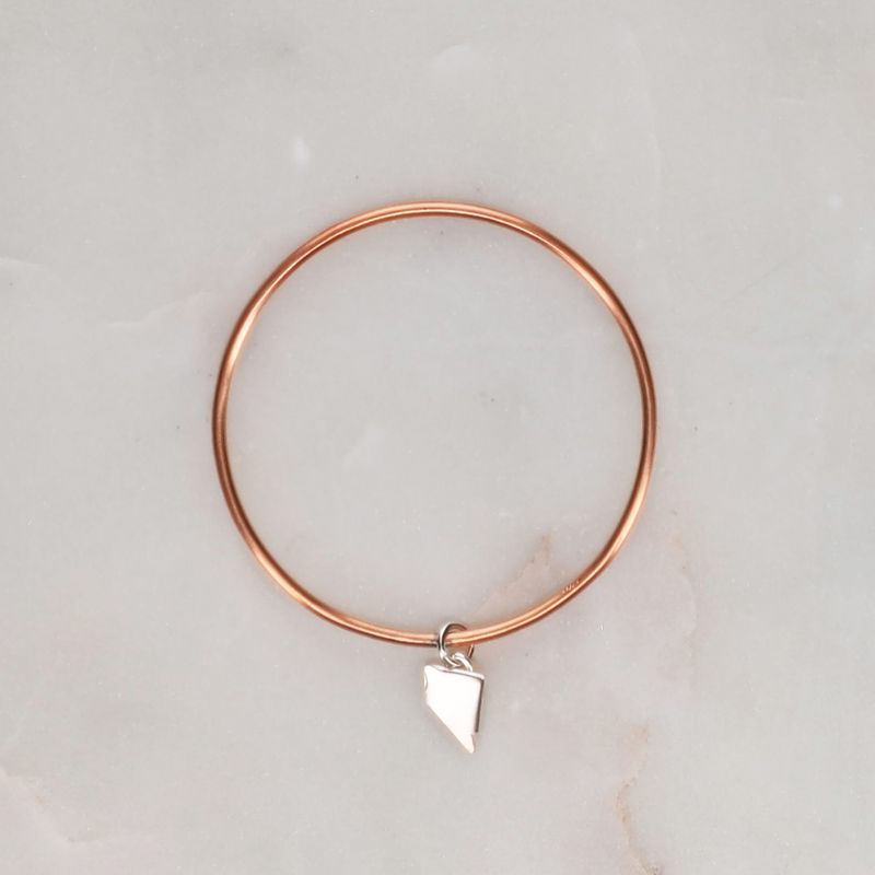 Silver Nevada Charm on Copper Bangle