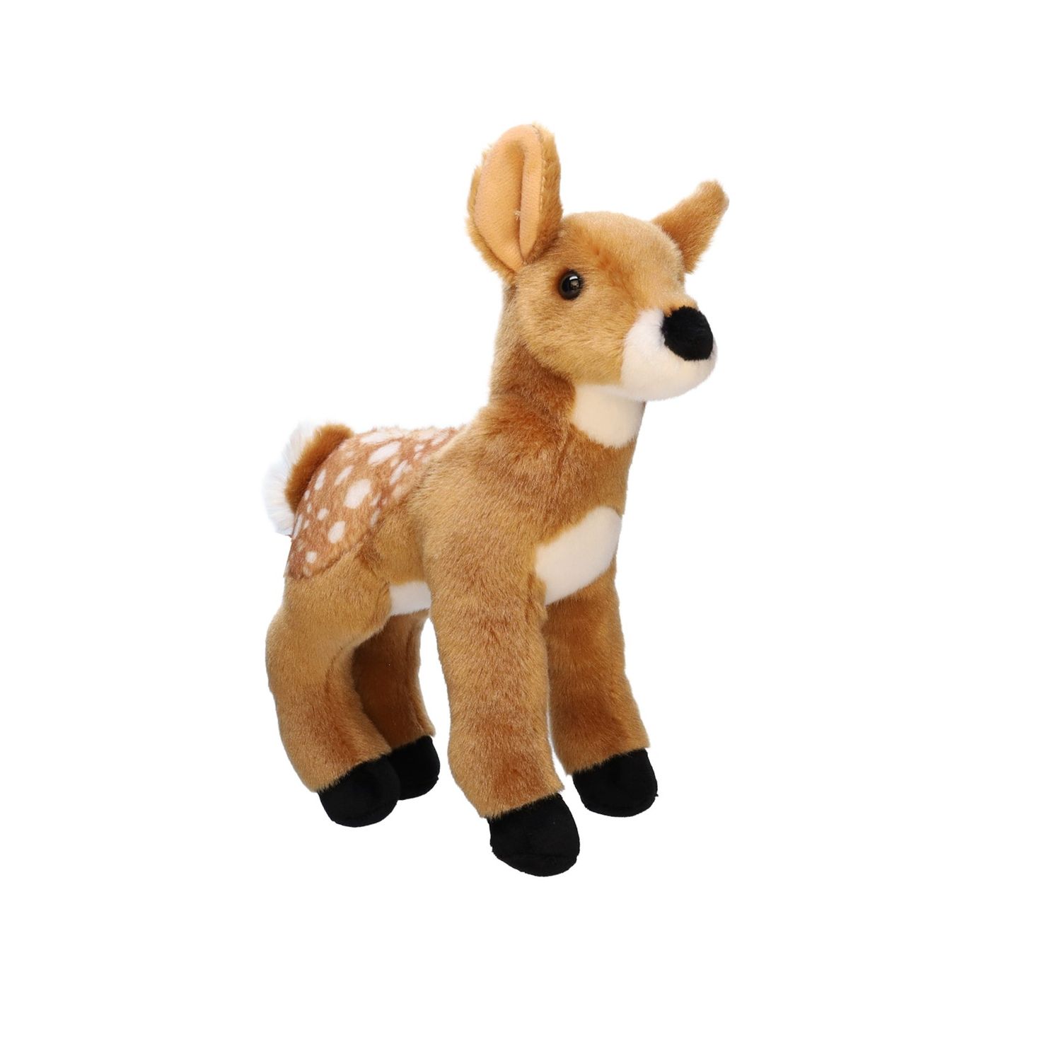 Glory Fawn