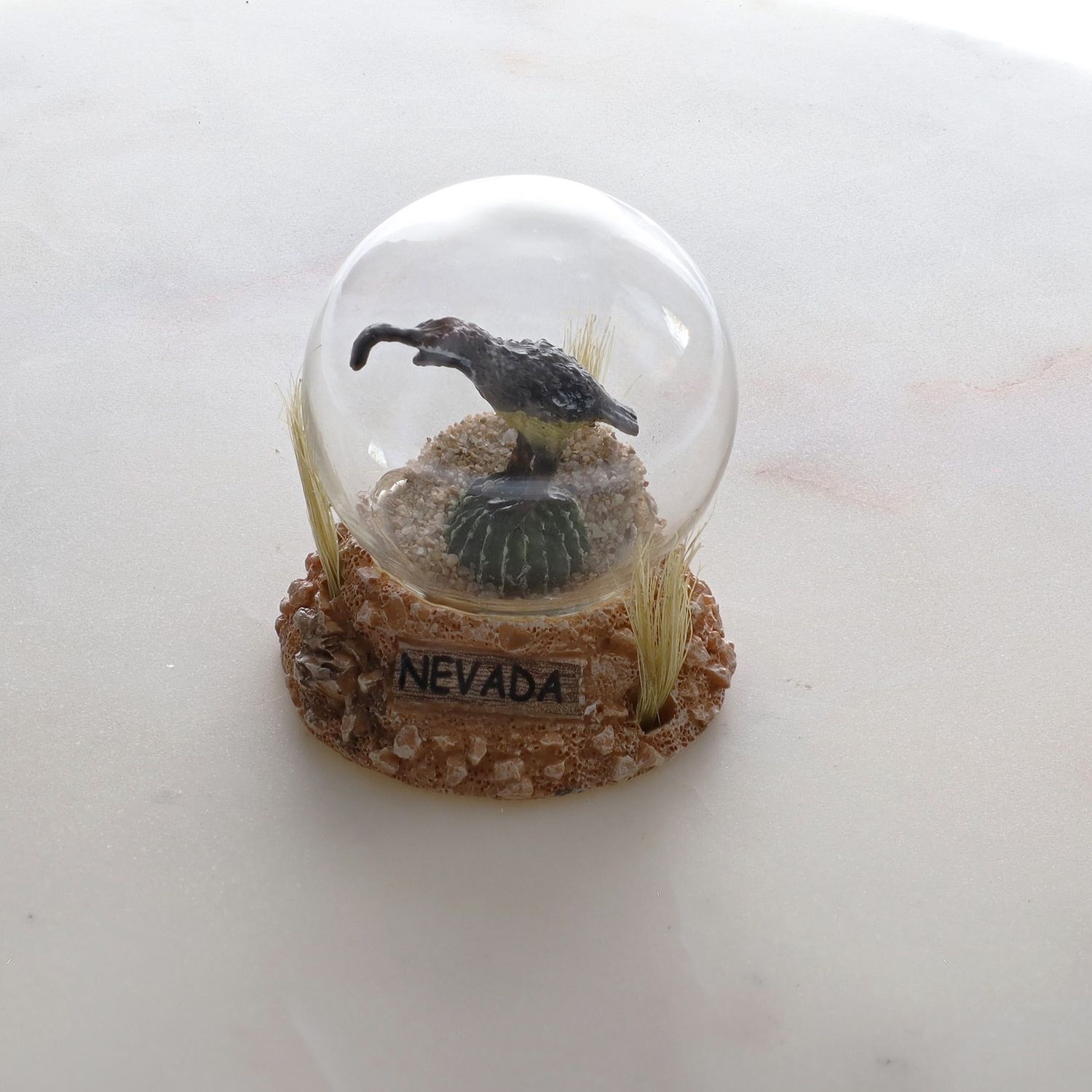 Quail Sandglobe- NEVADA 3"