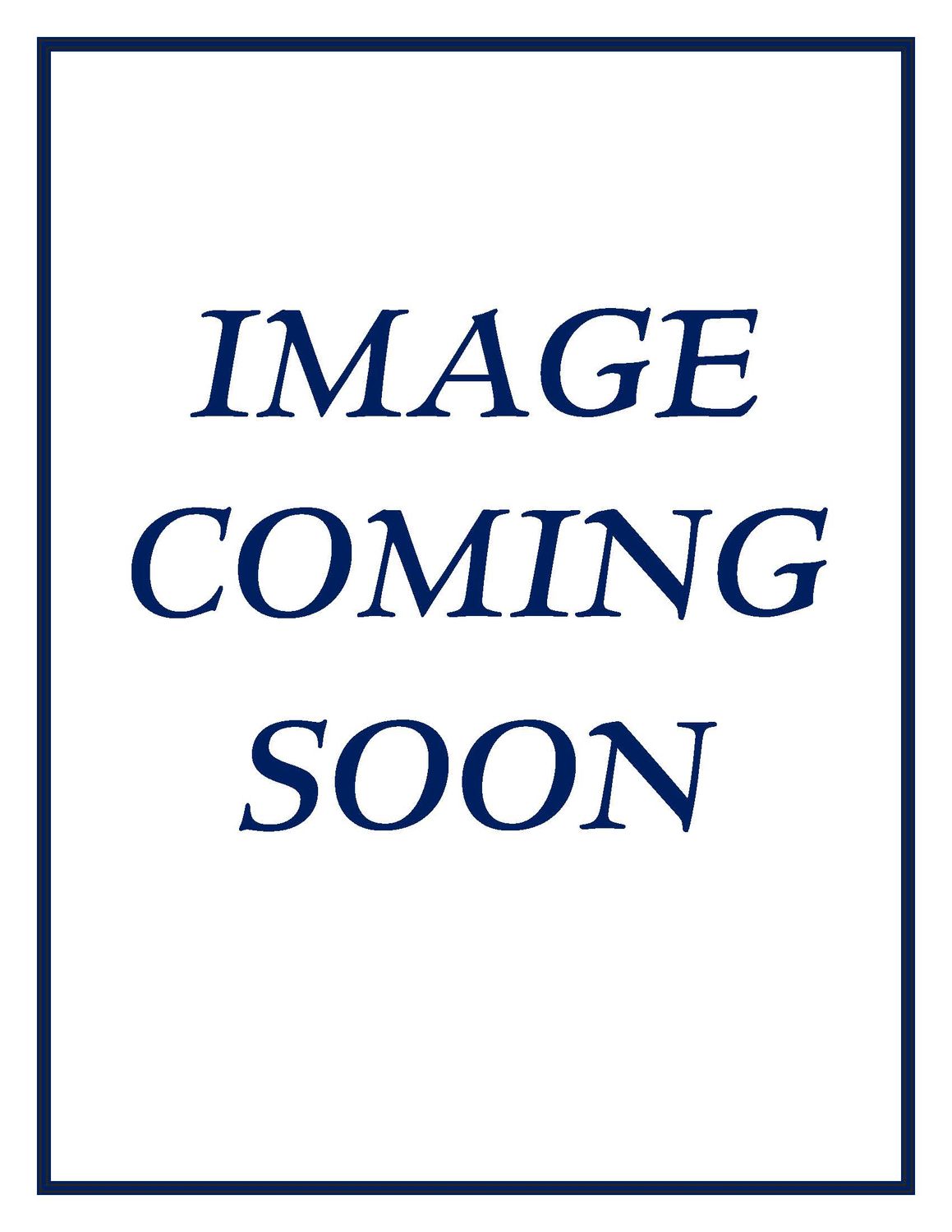 Statutes of Nevada - 2023, 4 Volume Set