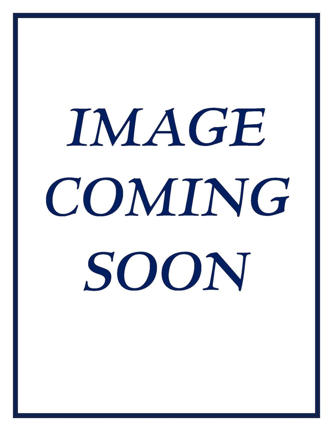 Statutes of Nevada - 2023, 4 Volume Set