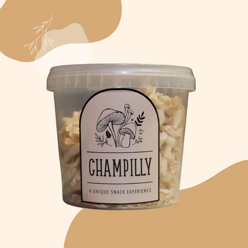Beukenzwam (Beech) Champignon Chips Family-Pack – 100g