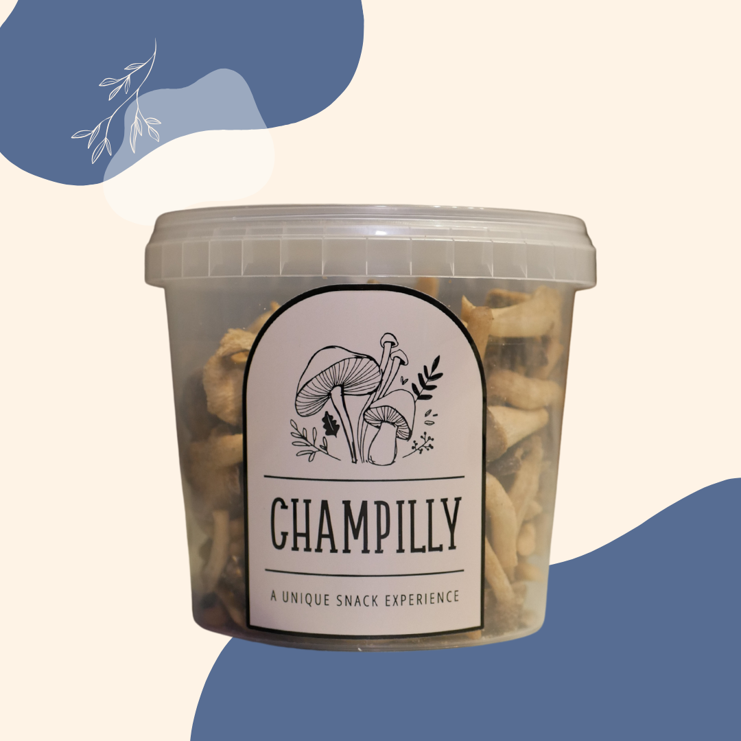 Maitake Champignon Chips Family-Pack – 100g