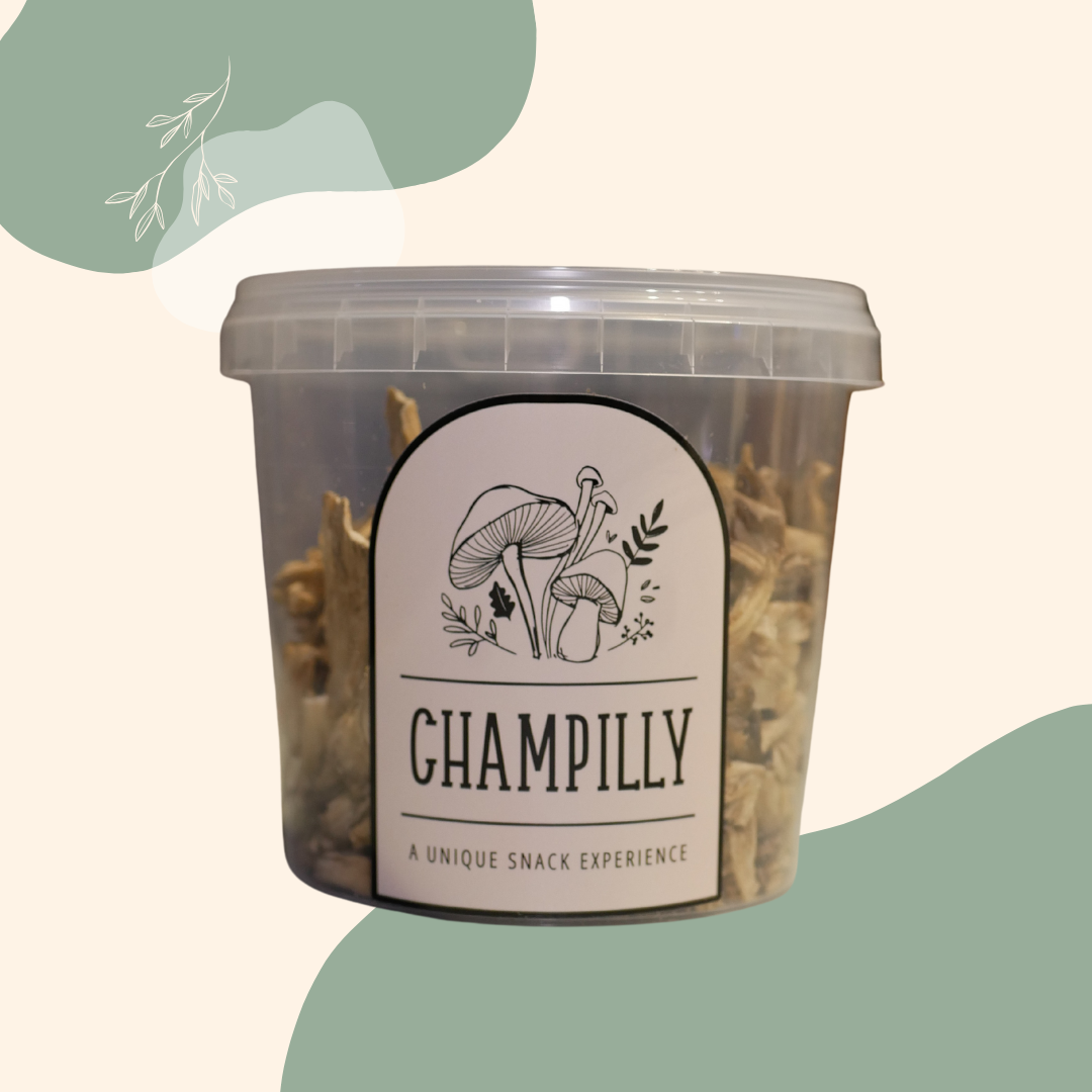 Oesterzwam (Oyster) Champignon Chips Family-Pack – 100g