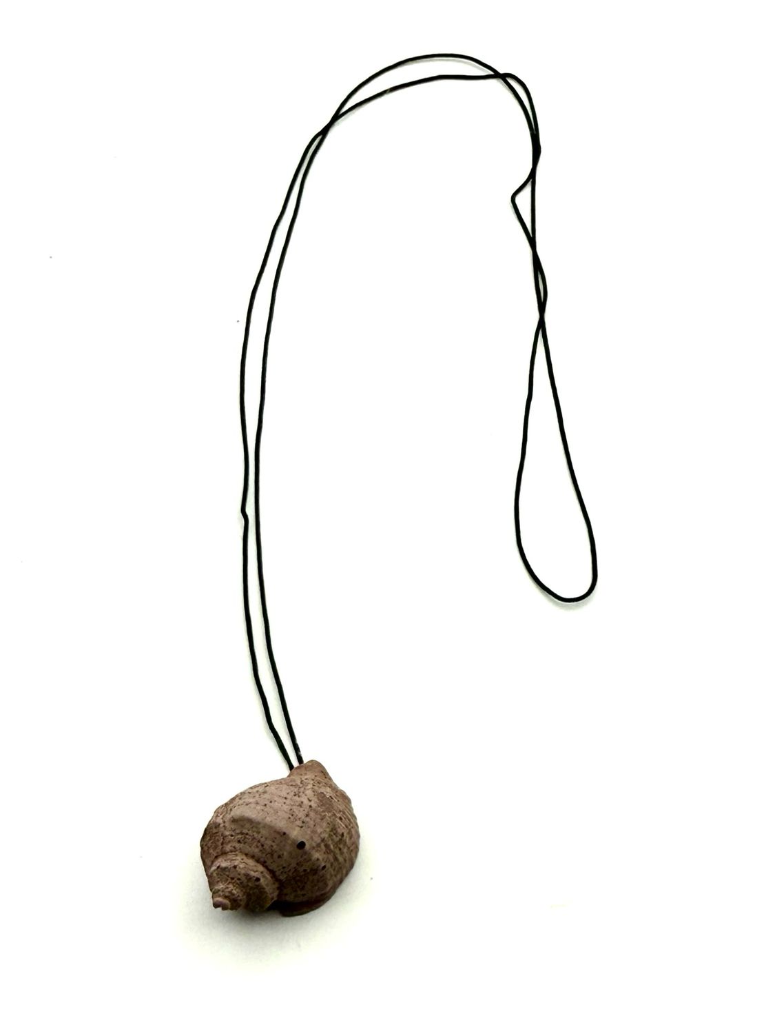 Whelk