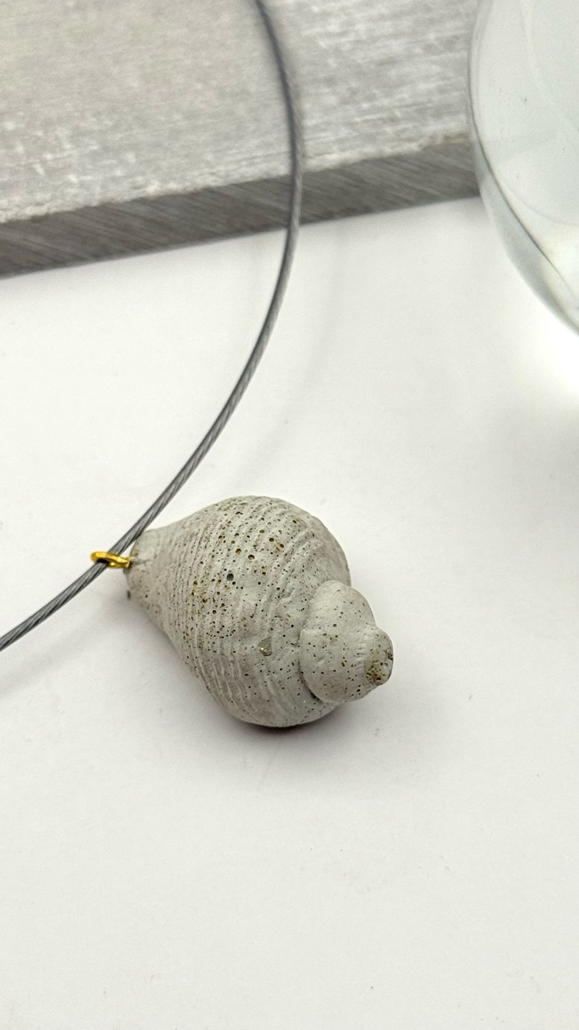 Golden Whelk