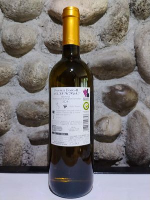 MULLER THURGAU