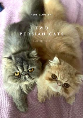 TWO PERSIAN CATS
