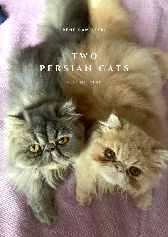 TWO PERSIAN CATS
