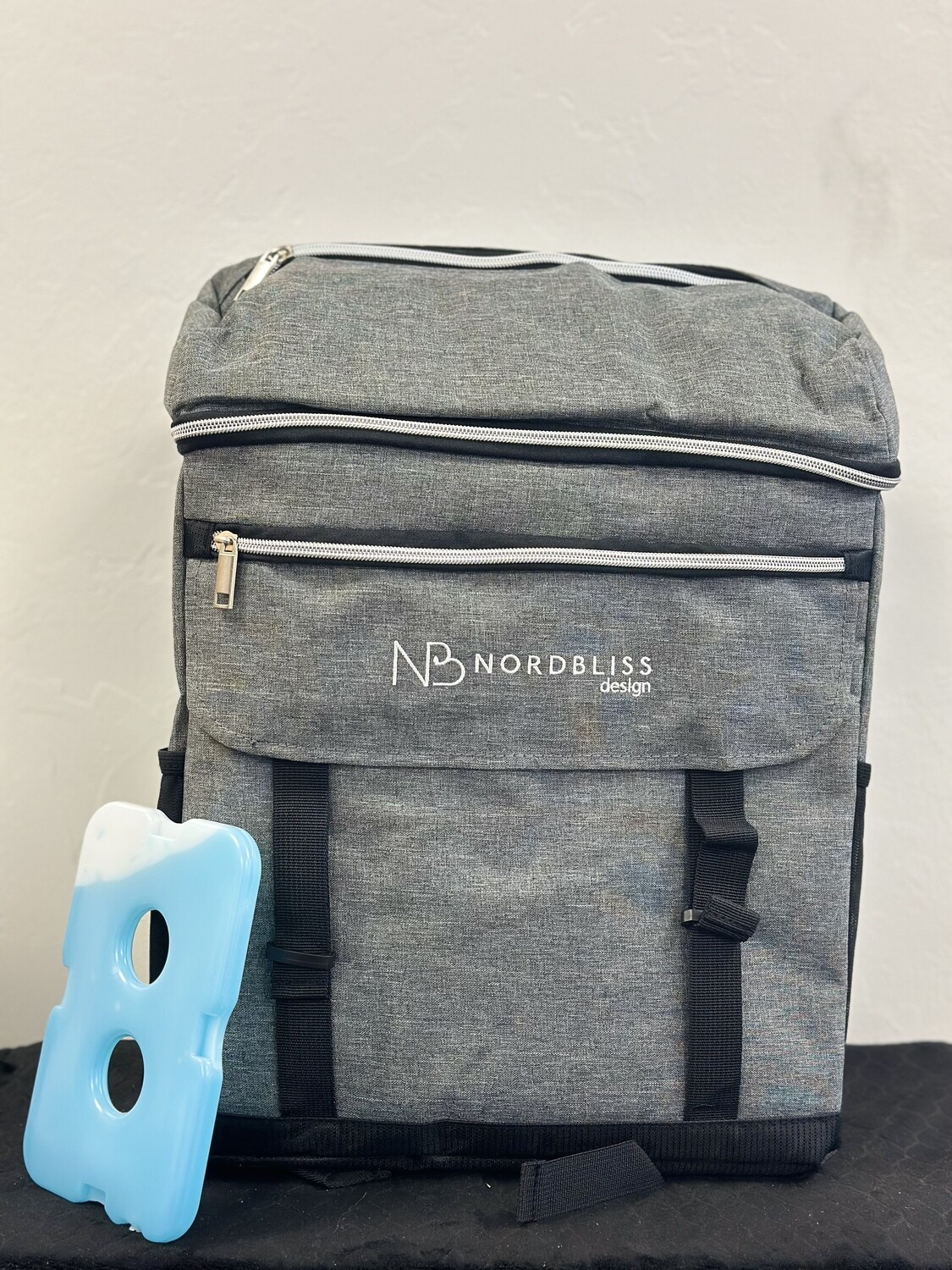 Cooler backpack