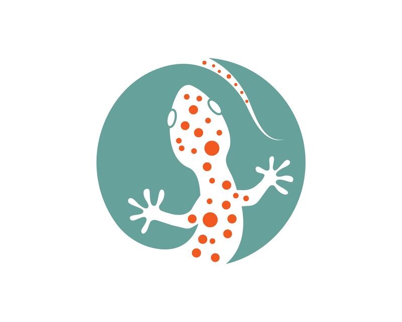 Spotted Gecko - Headband