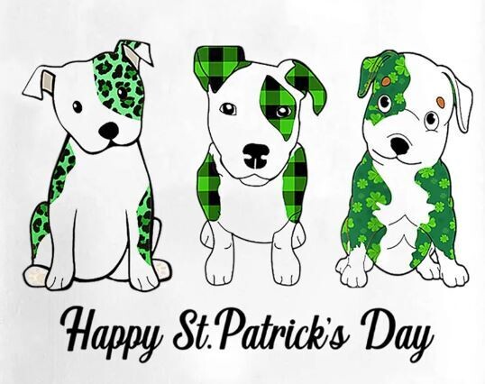 St. Pats. Dog Towel