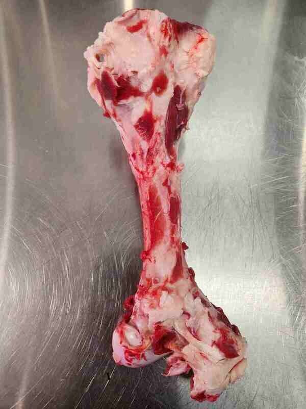 Pet Bones