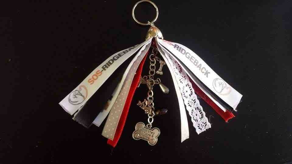 Sleutelhanger met logo en foto hond