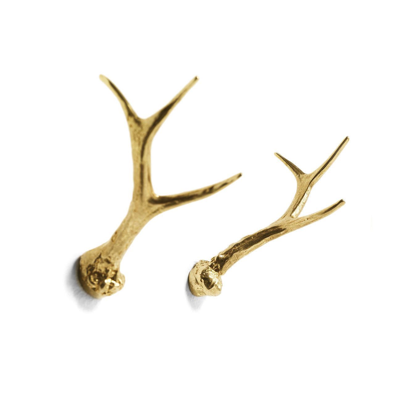 Mogg HUBERTUS |appendiabiti|