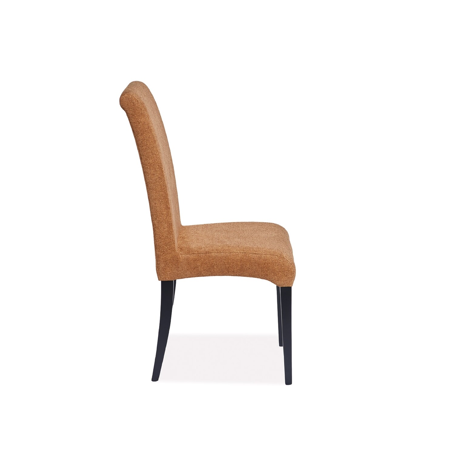 Friulsedie RICCIOLO |sedia|