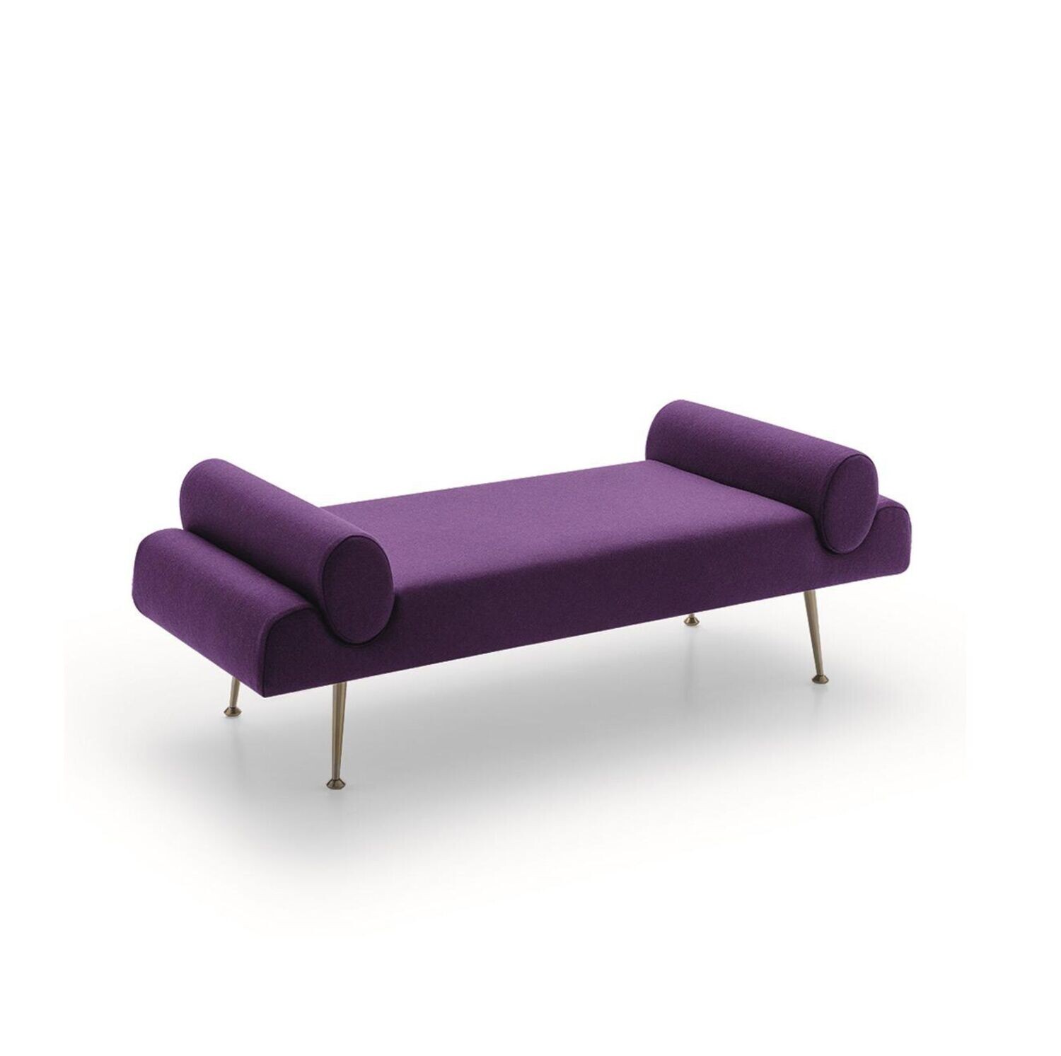 Felis SIGMUND |panca|