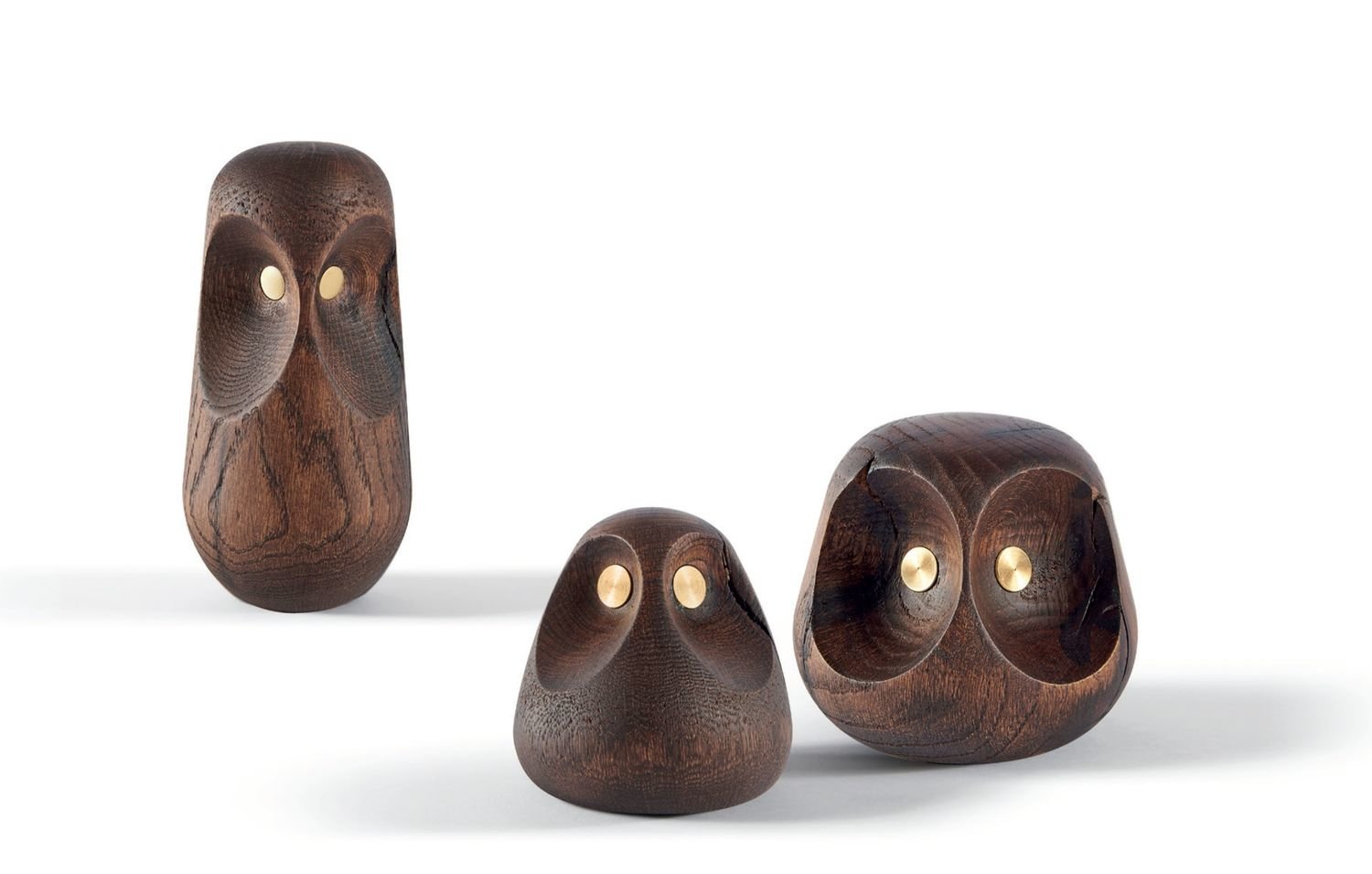 Atipico THE CORBARIS |oggetto decorativo|