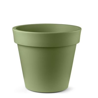 Lyxo Design ARIA, vaso verde oliva dalla silhouette conica su fondo bianco