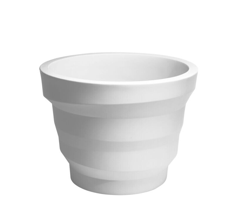 Plust REBELOT |vaso|