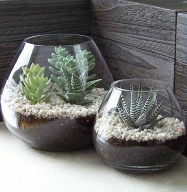 Succulent Fishbowl Terrarium