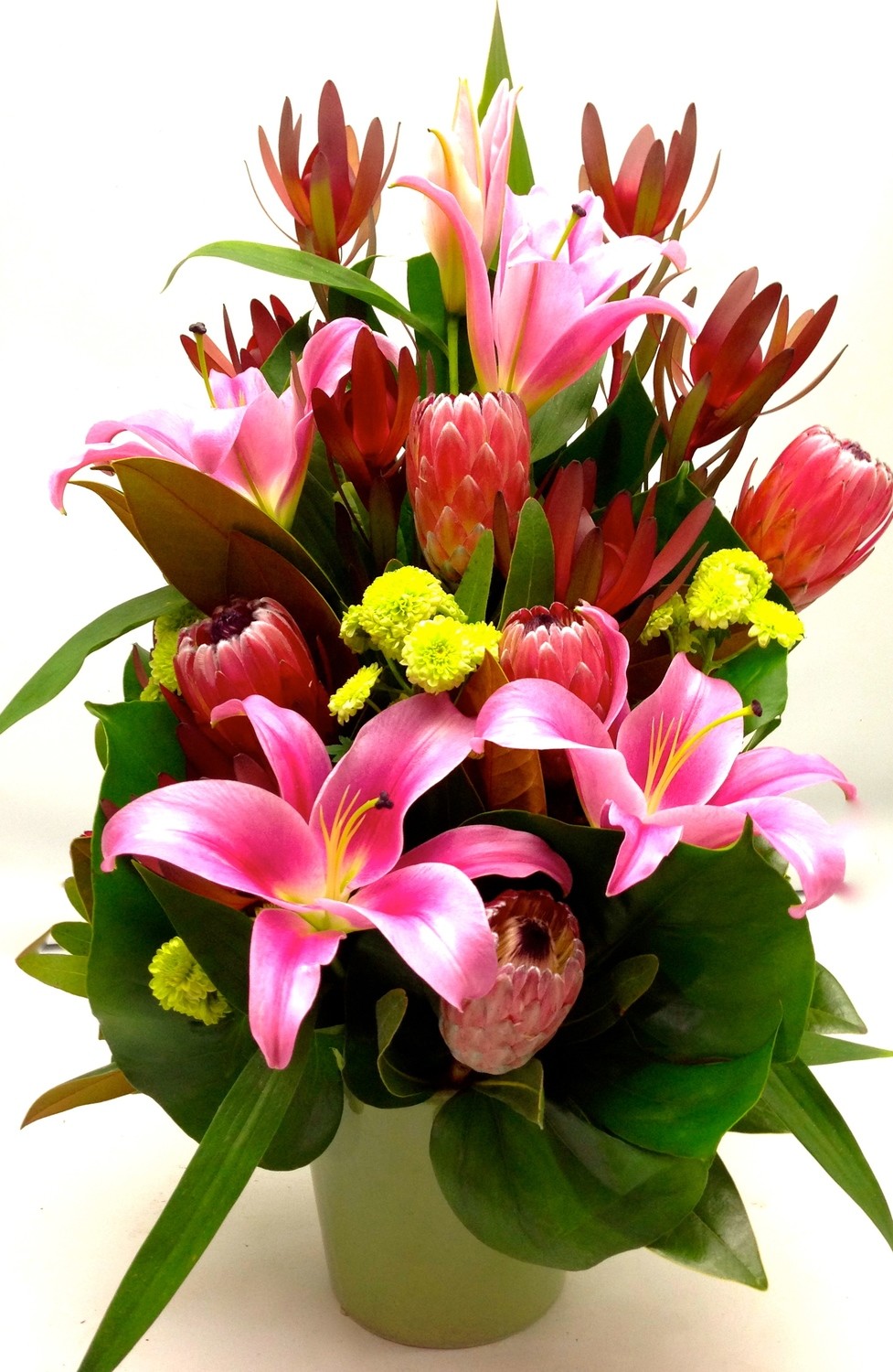 Lily