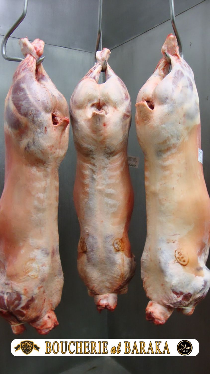 Agneau Entier 18-20 kg