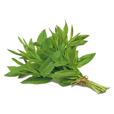 Menthe
