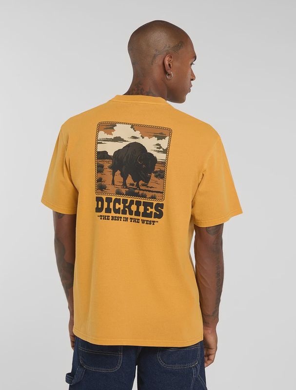 Darrtown midweight t-shirt