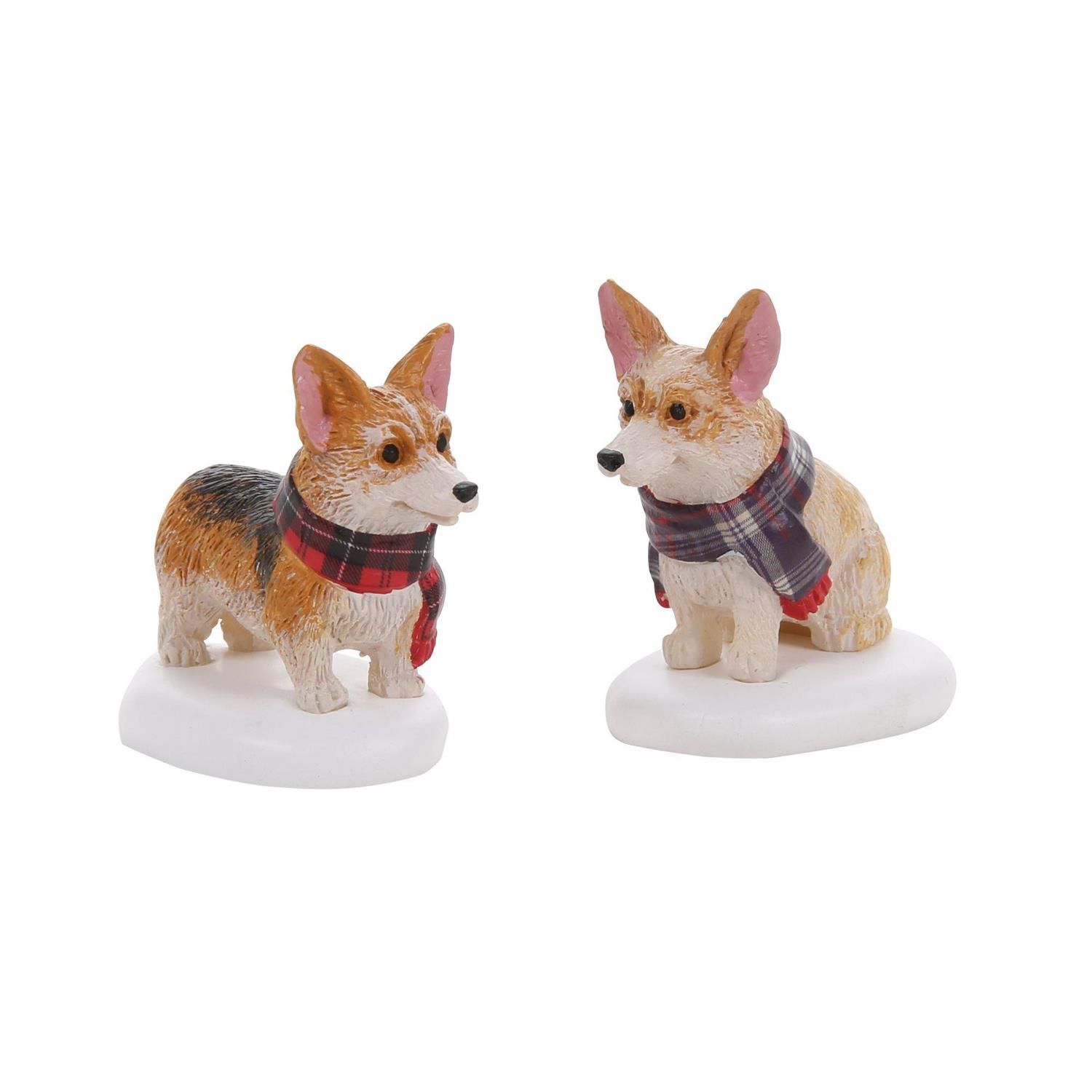 CSPVL HIGHLAND CORGIS