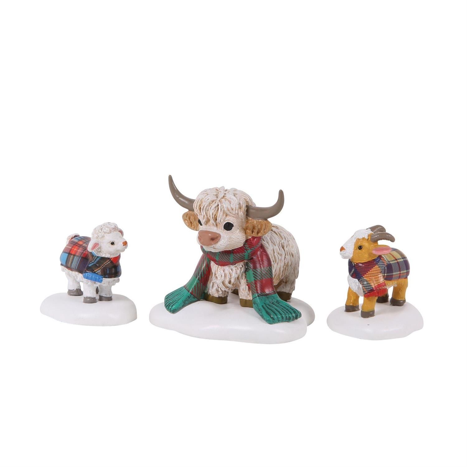 CSPVL HIGHLAND ANIMAL