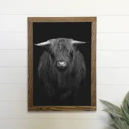 Hangout Home Photos, Colour: Black &amp; White Highland Cow Canvas