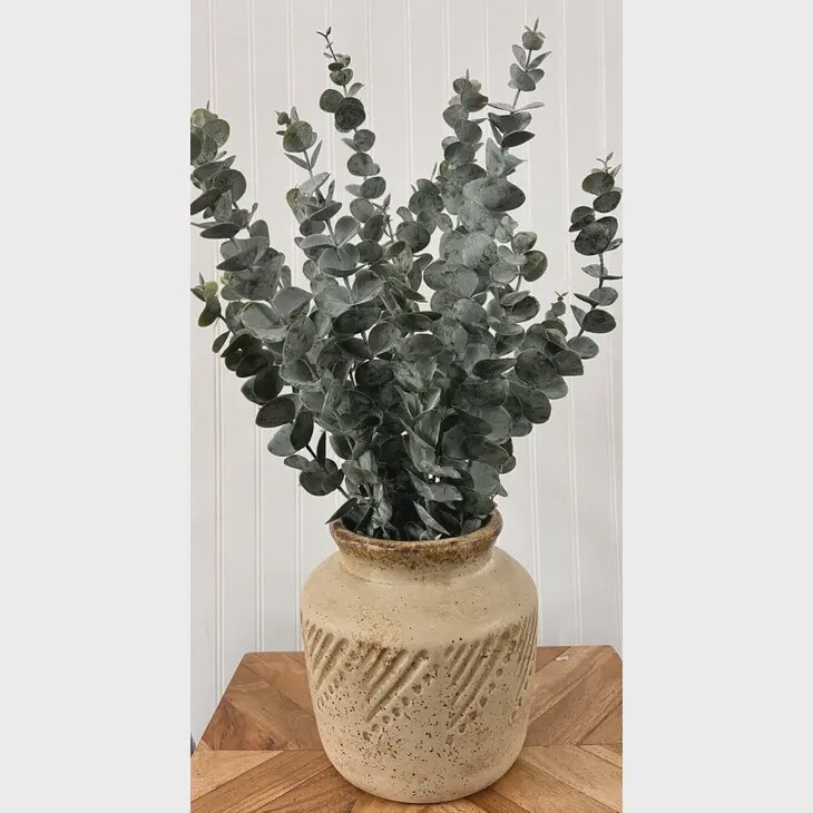 Eucalyptus 21in Stems
