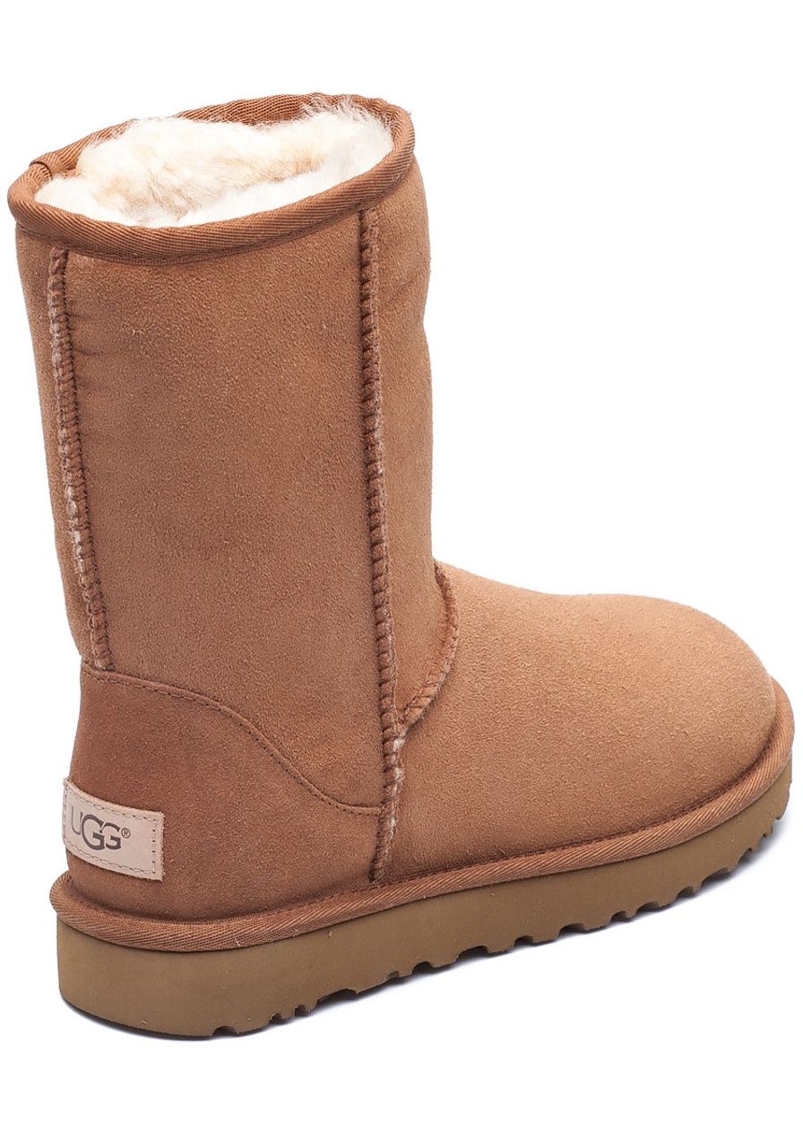 Classic Short ll Chestnut Ugg Boot