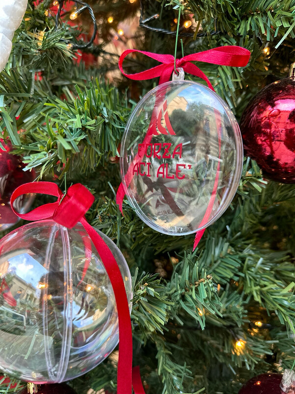 Palla di Natale - Official Product