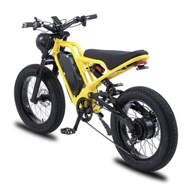 Electric Bike for Adults Fat Tire Ebike 750W/1500W 20inch
