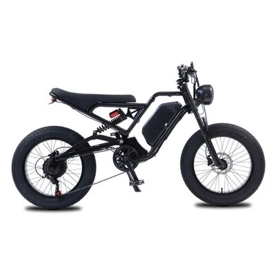 Electric Bike for Adults Fat Tire Ebike 750W/1500W 20inch