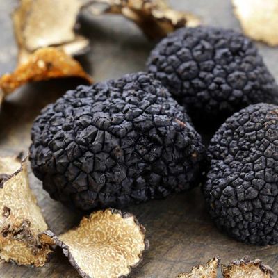 Truffle