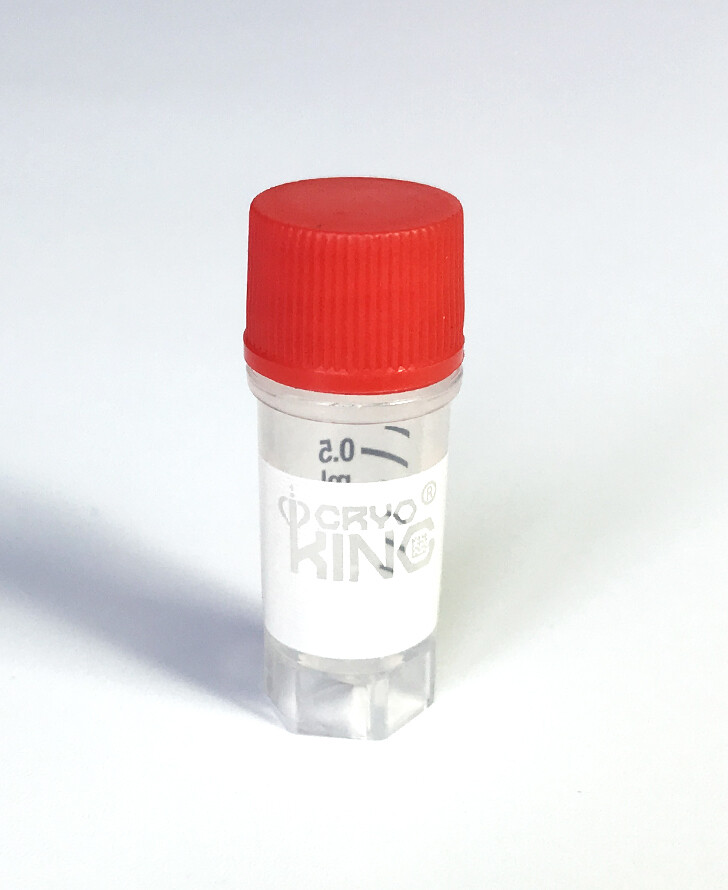 Cryogenic Vials-0.5ml (External Thread) Non-barcoded , Case of 1000