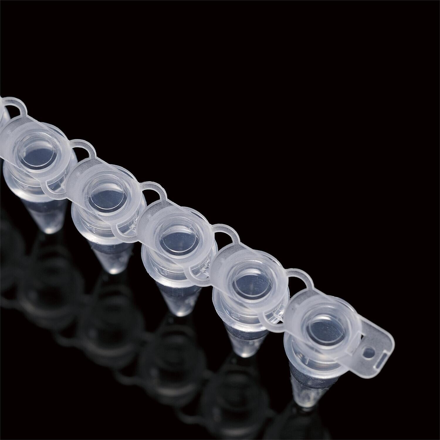 8-tube Strips Thin-wall Polypropylene 0.2ml PCR Tube Strips With Flat ...