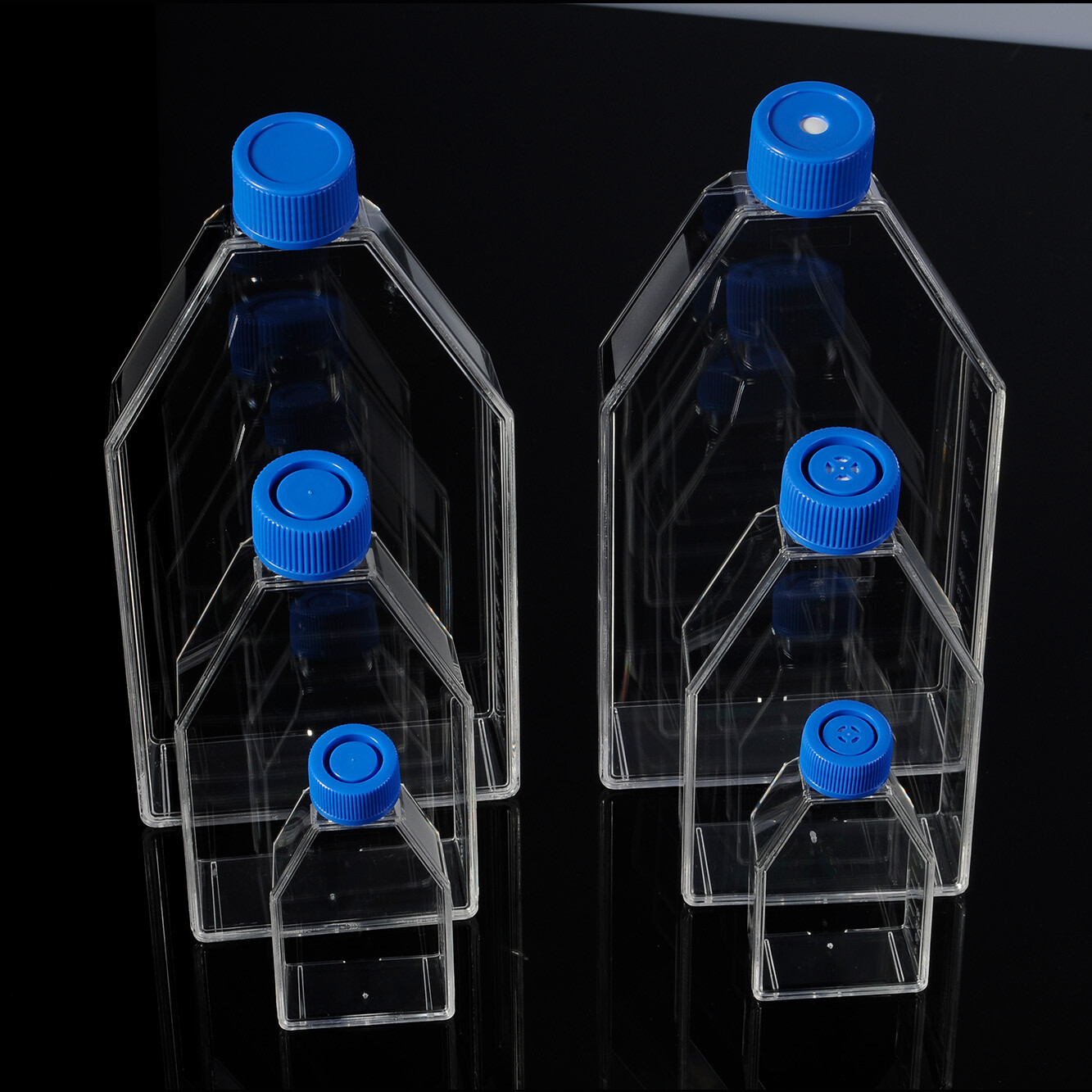 Biologix® Cell Culture Flasks-175cm², 5 Pcs/Pack, 8 Packs/Case, Cap Type: Filter
