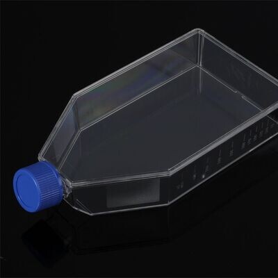 Biologix Cell Culture Flasks-175cm², 5 Pcs/Pack, 8 Packs/Case