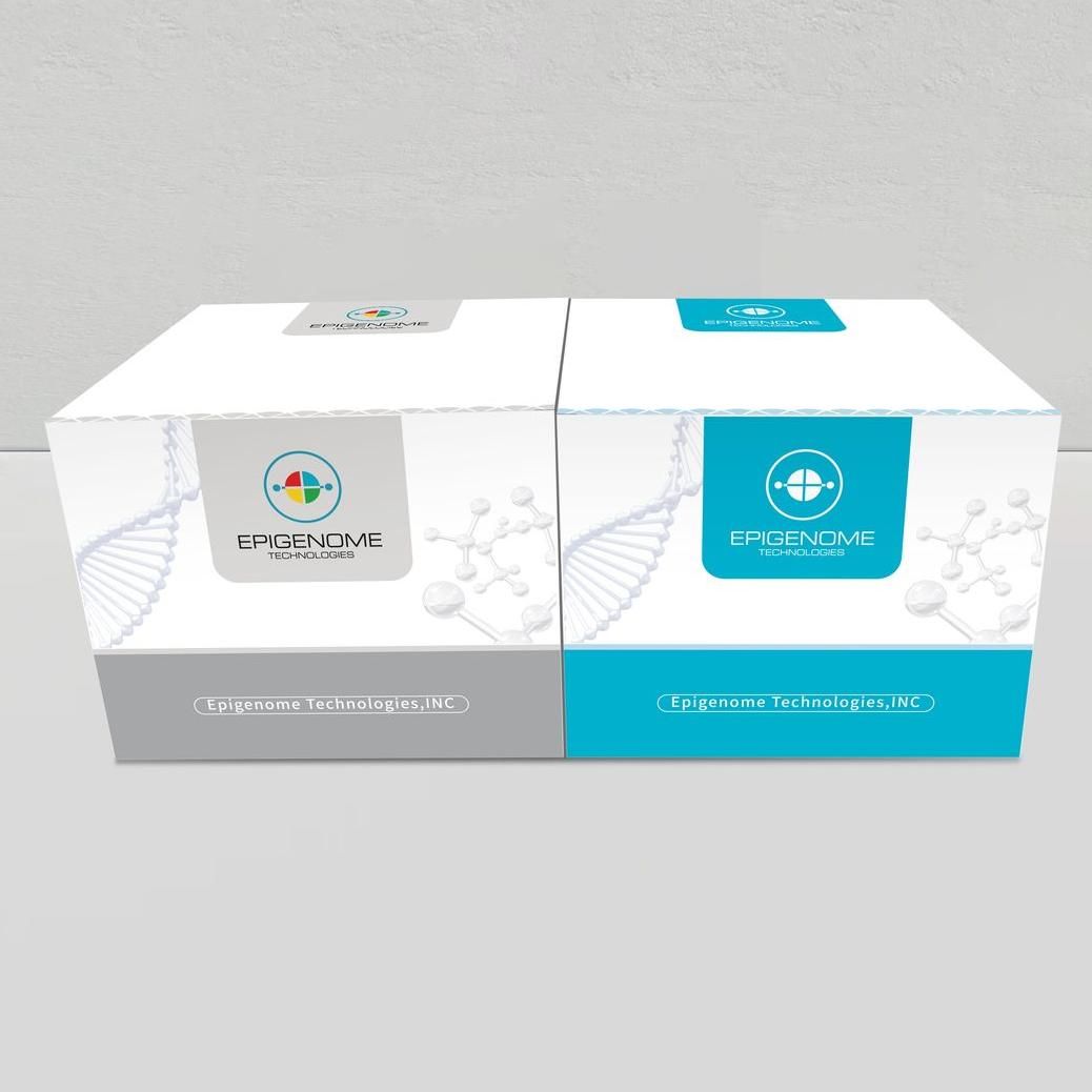Droplet Single-Cell Cut&amp;Tag Kit – 8rxn